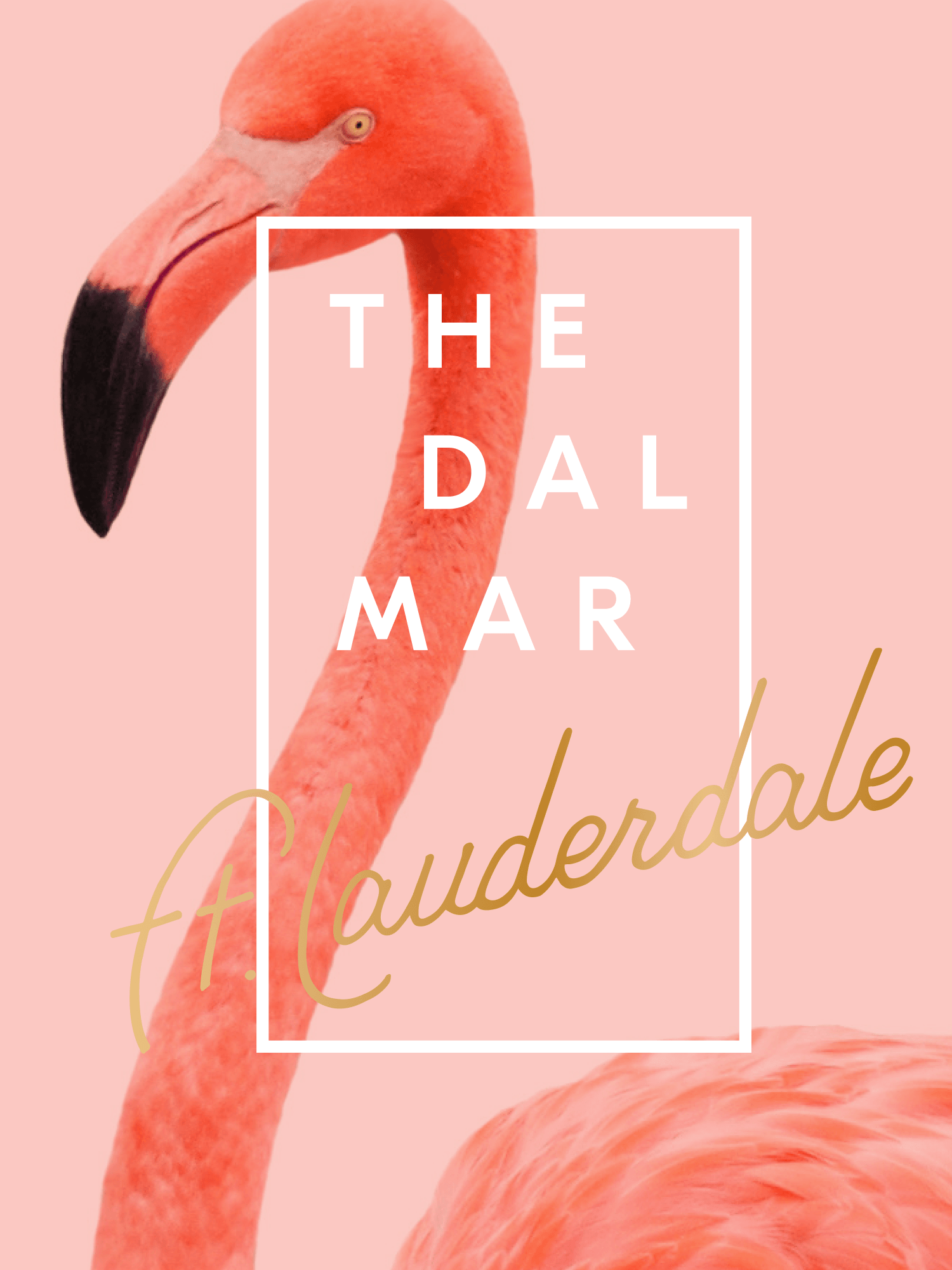 Image of The Dalmar postcard